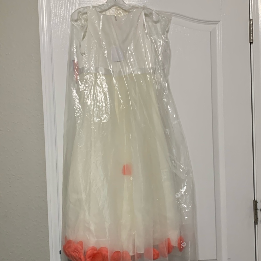 Trapped petals FG DR